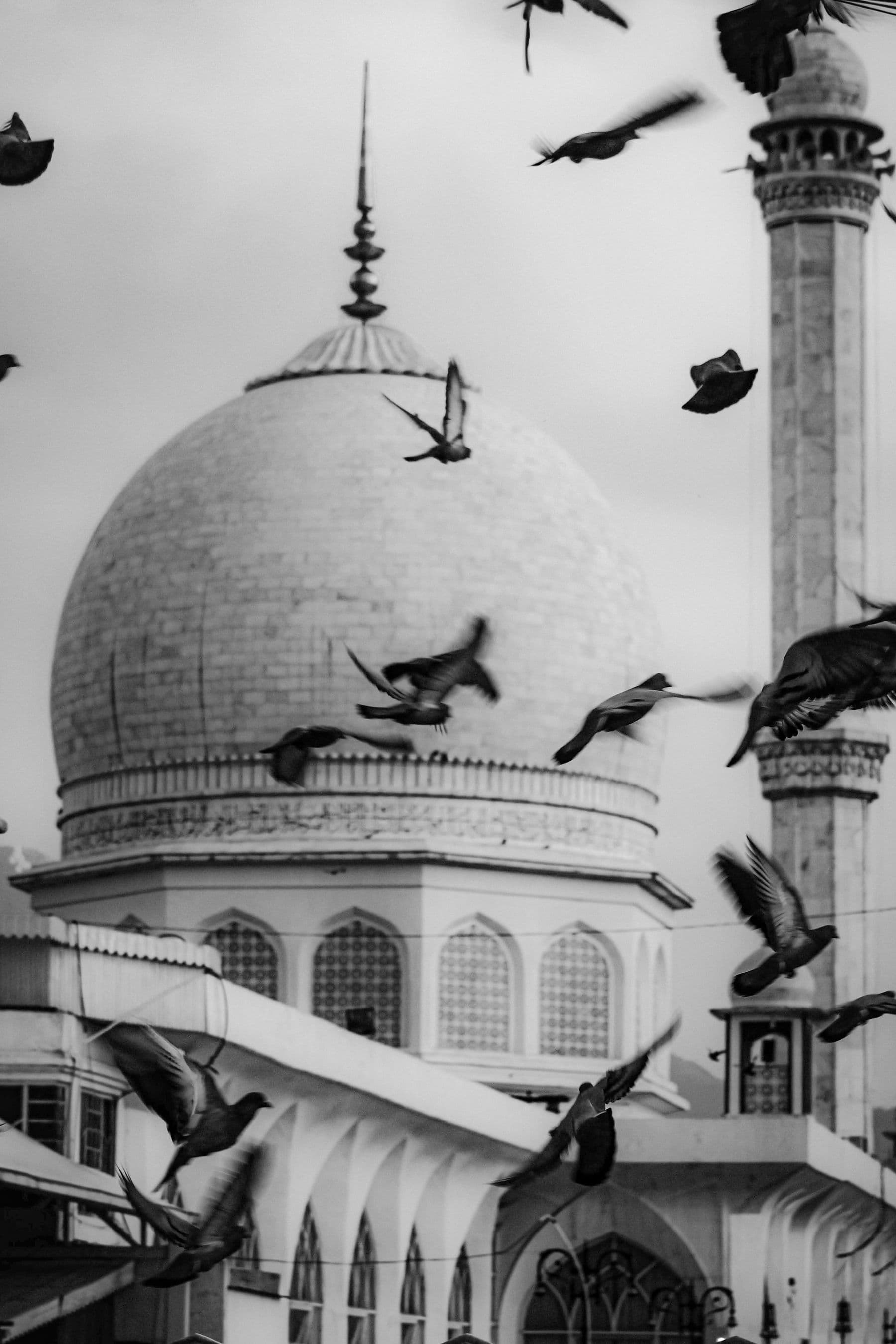 A white mosque dome and minaret in black and white, with pigeons in flight in front of them.